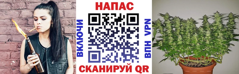 Купить закладку Гашиш  Каннабис  А ПВП  Мефедрон  Боготол