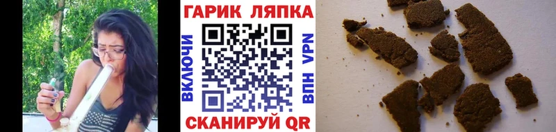 Купить где  Боготол  ГАШ гарик 