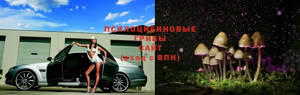молекула духа Вяземский