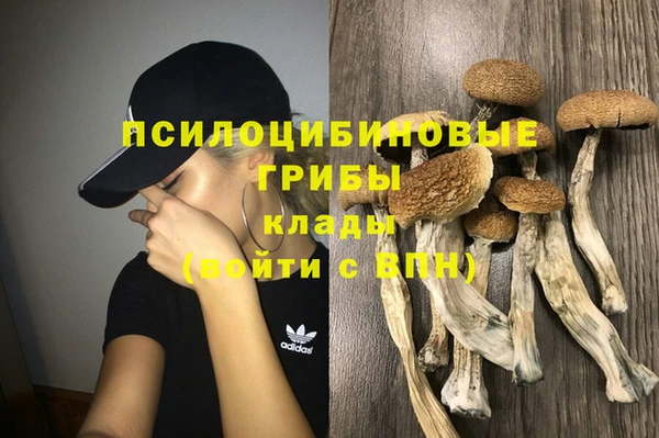 герыч Вязьма