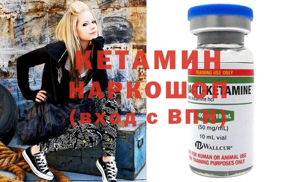 молекула духа Вяземский