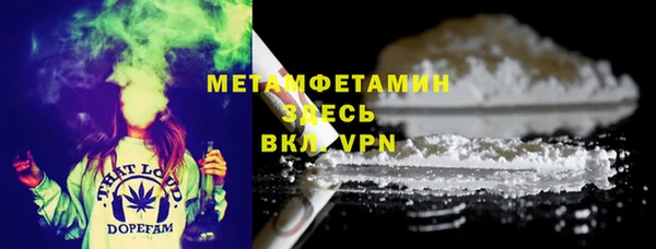 молекула духа Вяземский