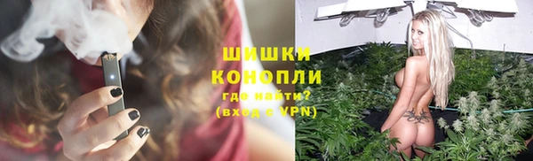 молекула духа Вяземский