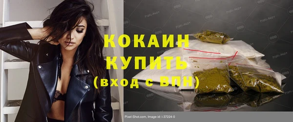 молекула духа Вяземский
