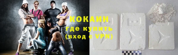 молекула духа Вяземский