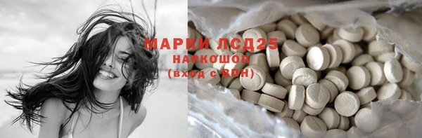 молекула духа Вяземский