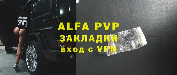 молекула духа Вяземский