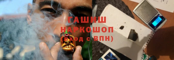 молекула духа Вяземский