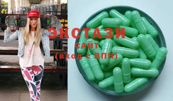 молекула духа Вяземский
