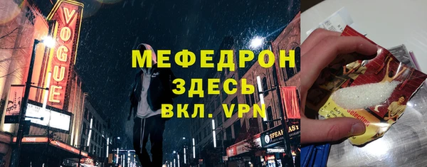молекула духа Вяземский