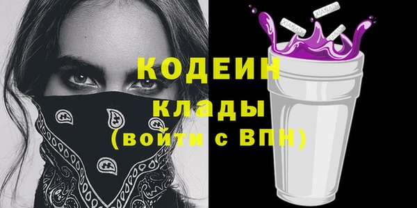 молекула духа Вяземский