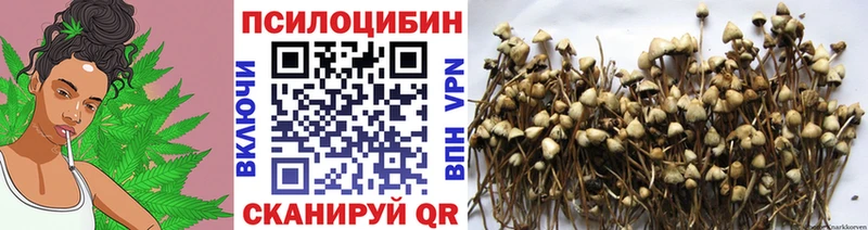 Галлюциногенные грибы Cubensis  Купить  Боготол 